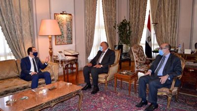 شكرى يبحث مع نظيره القبرصى تطورات الأوضاع بالمنطقة