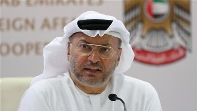 قرقاش:الإمارات تؤمن بمركزية الدور المصري في حل قضايا المنطقة