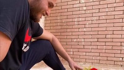 ”بباقة من الورود والسوشي”.. نجل نادية العراقية يحيى ذكرى ميلادها