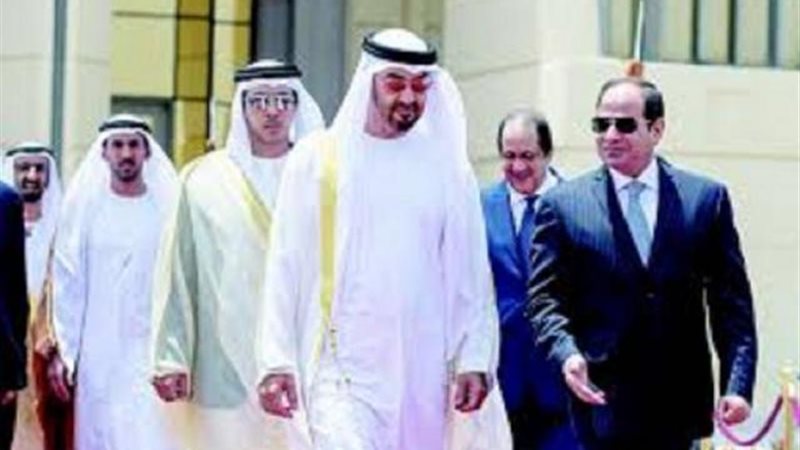 الموجز