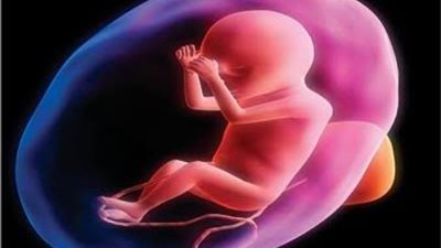 مفاجأة.. تعرف على حكم تحديد نوع الجنين في عمليات الحقن المجهري