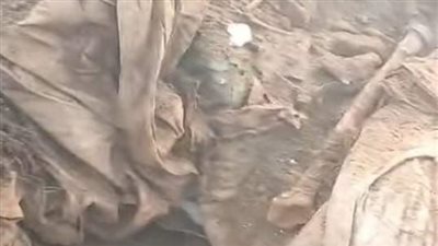 أسرار الجريمة البشعة بالطريق الحر بقليوب