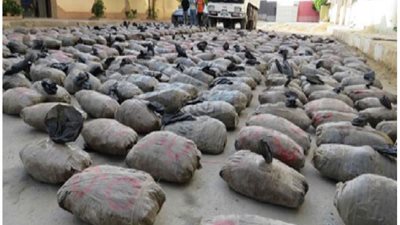 بالصورة .. ضبط 1,740 طن من مخدر البانجو بحوزة تشكيل عصابى بالسويس