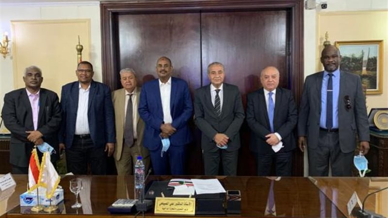 الدكتور على المصيلحي