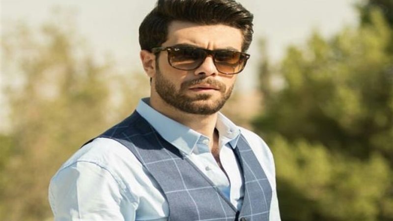 مهند حسني