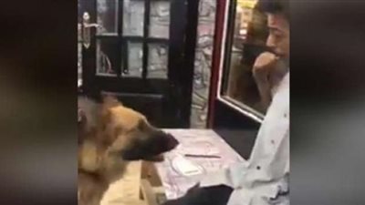 الردع هو الحل .. مجلس النواب يصدر بيان حاسم بشأن واقعة ”تنمر إمبابة ”