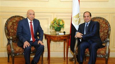 شاهد.. رسالة عقيلة صالح للرئيس السيسي بشأن جهوده في وقف إطلاق النار