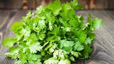 ماذا يحدث للجسم عند تناول ماء الكزبرة يوميًا؟