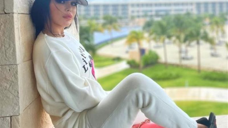 هيفاء وهبى