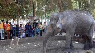 غدا.. فتح الحدائق التابعة لوزارة  الزراعة ..تعرف على الضوابط والإجراءات الاحترازية