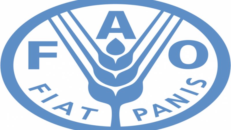 منظمة الفاو