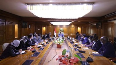 التعليم العالي تبحث آليات تنفيذ مشروع القمر الصناعي للتنمية بأفريقيا