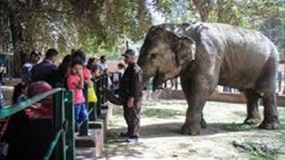 اليوم.. فتح الحدائق التابعة لوزارة الزراعة بمراعاة الإجراءات الاحترازية