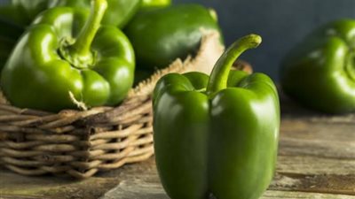 لخسارة الوزن.. فوائد مجهولة عن الفلفل الأخضر البارد
