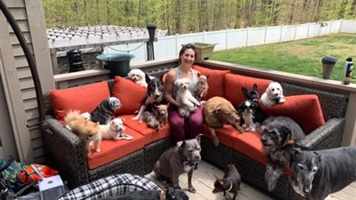 مش هتصدق.. تعرف على المنزل الذى تحول لملجأ للكلاب ذوى الاحتياجات الخاصة