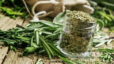 فوائد تجهلينها عند تناول الروز ماري.. تعرف عليها