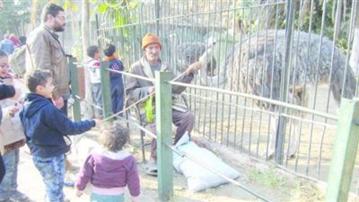 إقبال ملحوظ على حديقة حيوان الجيزة عقب فتحها اليوم