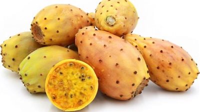 التين الشوكي.. الروشتة العلاجية الأسرع لتقوية المناعة