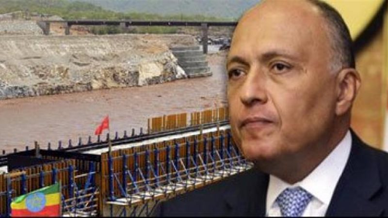سامح شكري