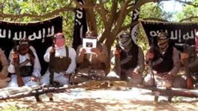 الأمم المتحدة تشيد بدور مصر فى مكافحة التنظيمات الإرهابية بالمشروعات التنموية