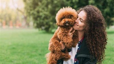 الصديق الوفي.. كل ما تريد معرفته عن اليوم العالمي للكلاب