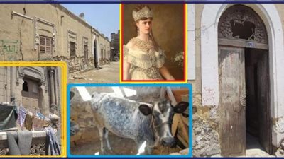 شاهد بالصور ... الحيوانات تسكن مقبرة الأميرة ”فاطمة إسماعيل” التى تبرعت بأموالها لبناء جامعة القاهرة