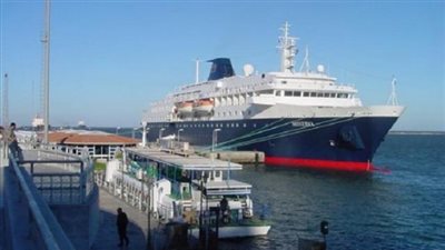 صادرات بطاطس للأسواق العالمية تسجل 674480 طنا