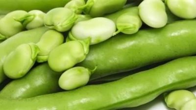 10 فوائد للفول.. تعرف عليها