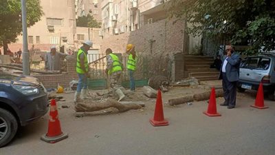 بدء تنفيذ الخطة الاستثمارية لإنارة ورصف شارع الهرم