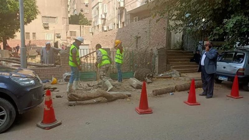 رصف شارع الهرم