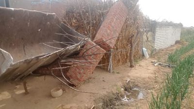 شاهد.. محافظة الجيزة تزيل 12 تعدي علي الأراضي الزراعية وأملاك الدولة بمنشأة القناطر