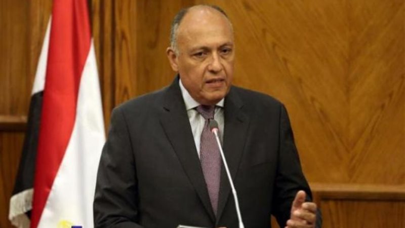 سامح شكرى
