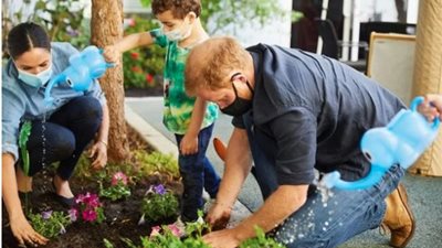 بمناسبة ذكرى رحيلها الـ 23.. بناء مزرعة زهور لـ«الأميرة ديانا» ببصمات هاري وميجان
