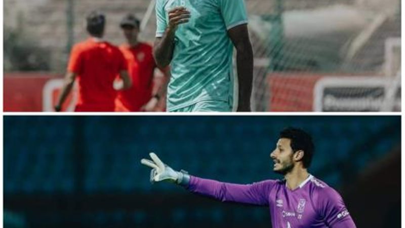 كهربا والشناوي