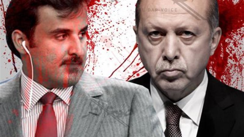 أردوغان وتميم