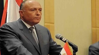 شكرى يصل إسلام آباد للمشاركة فى اجتماعات وزراء خارجية منظمة التعاون الإسلامى