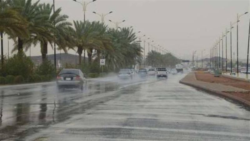 الموجز