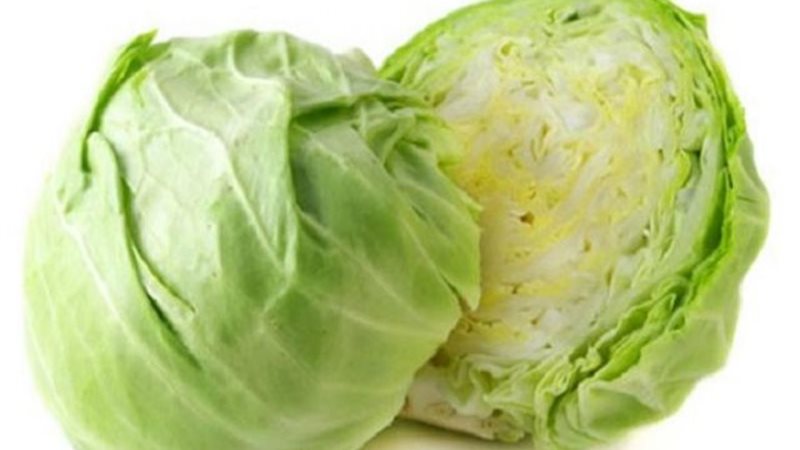 الموجز