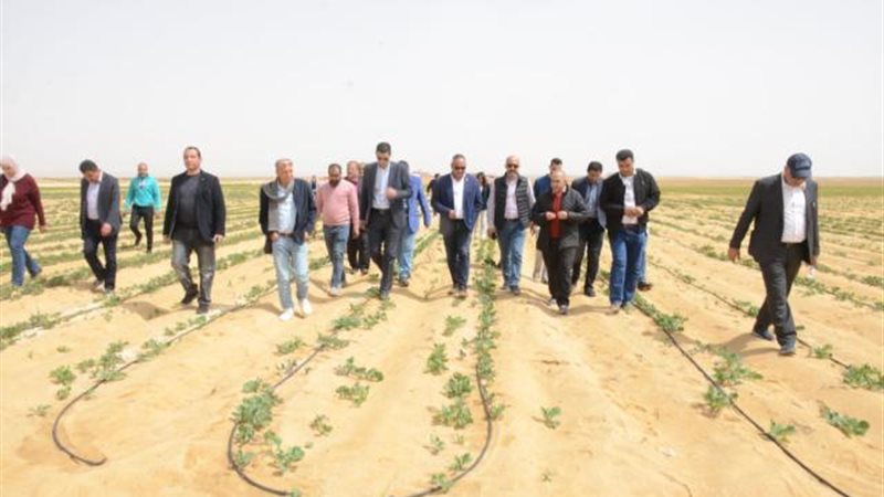 الموجز