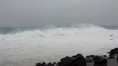 أغرق 6 الاف بقرة بعرض البحر.. ماذا تعرف عن «إعصار مايساك»؟