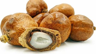 الدوم.. الحل السحري والفعال لزيادة مناعة الجسم