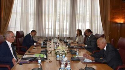 تفاصيل لقاء «أبوالغيط» ووزير خارجية مالطا