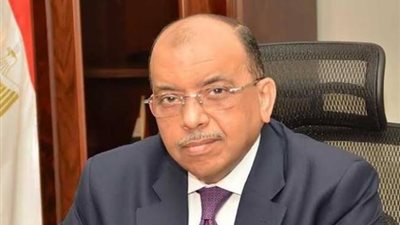 «شعراوي» يُعلن تنظيم الملتقى التدريبي الأول للكوادر المحلية على مدار 3 أيام