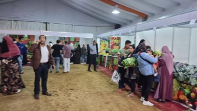 صور وفيديو.. 3 منافذ جديدة لبيع الخضراوات والفاكهة بأسعار مخفضة بالجيزة