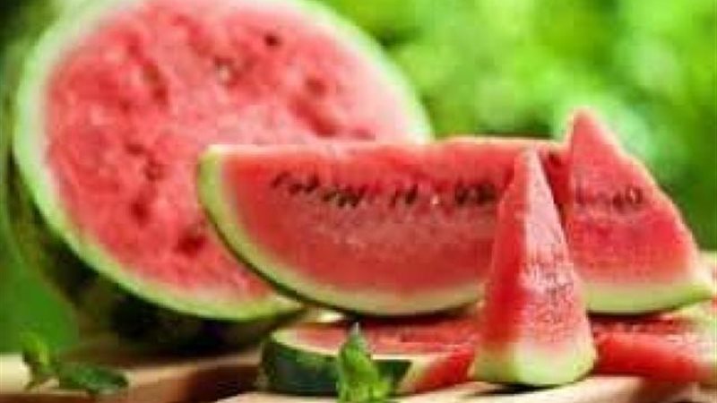 البطيخ