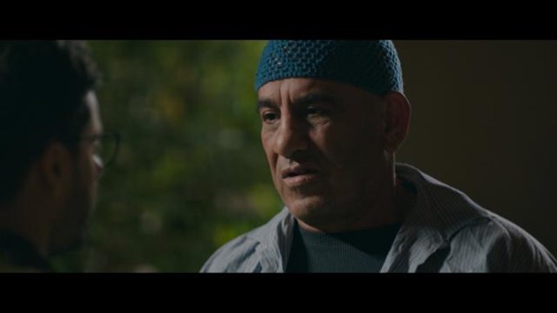محمد لطفى