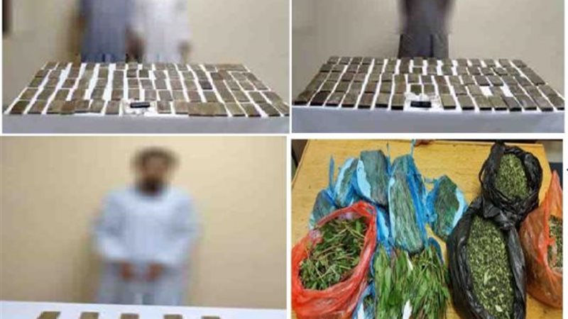 الموجز