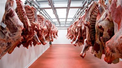 غداً.. توزيع 16 طن من لحوم الأضاحي في هذه المحافظات