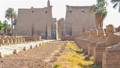 وزير الآثار يتفقد مشروع ترميم الكباش بمعبد الكرنك