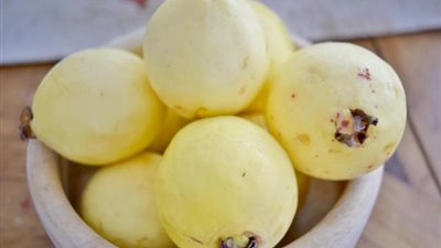 تعرف على الفوائد الصحية للجوافة